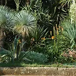 Masseria Gianferrante Vakantieboerderij Ugento