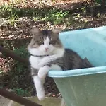 Masseria Gianferrante Vakantieboerderij *