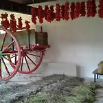 Masseria Gianferrante Vakantieboerderij Ugento