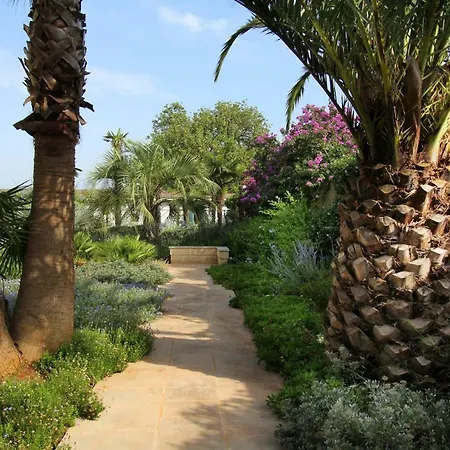 Masseria Gianferrante 农家乐 *