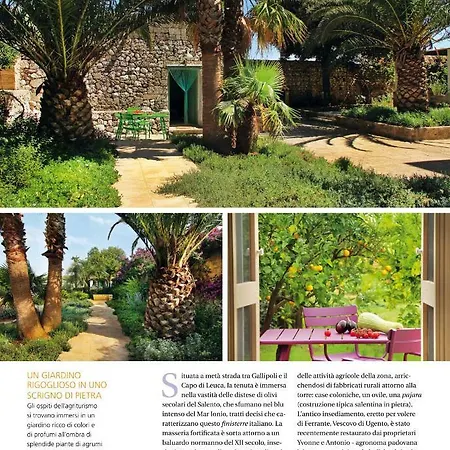 Masseria Gianferrante 农家乐 *