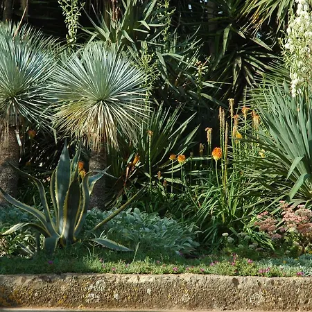 Masseria Gianferrante Farma Ugento