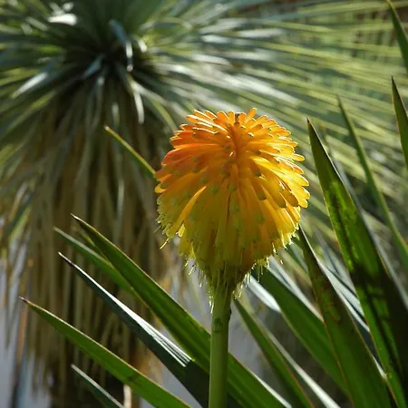 Masseria Gianferrante Ugento