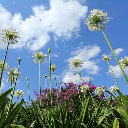Masseria Gianferrante Farma Ugento