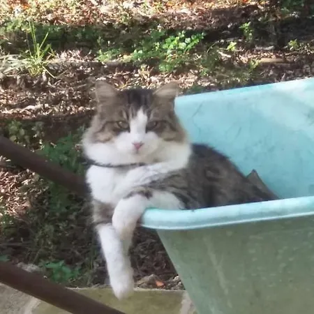 Masseria Gianferrante Farma *