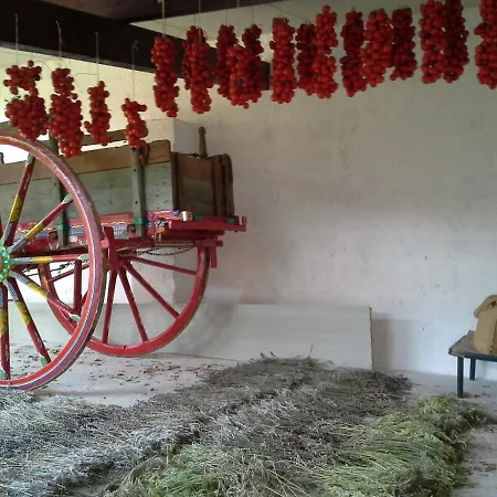 Masseria Gianferrante Agroturismo Ugento