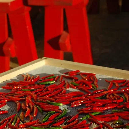 Farma Masseria Gianferrante