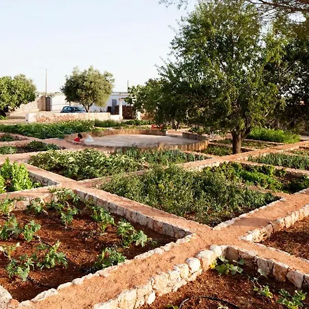 Masseria Gianferrante Çiftlik konaklama